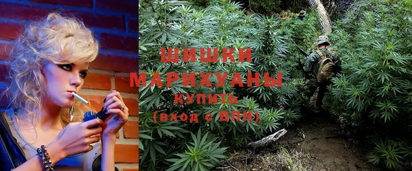 дмт Мегион