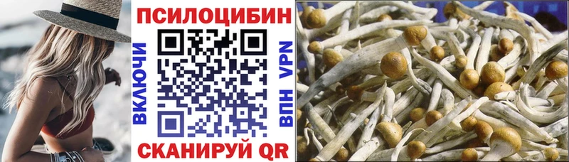 Псилоцибиновые грибы ЛСД  наркота  МЕГА tor  Жуковка 