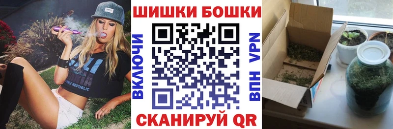 Бошки Шишки семена  где найти наркотики  Жуковка 